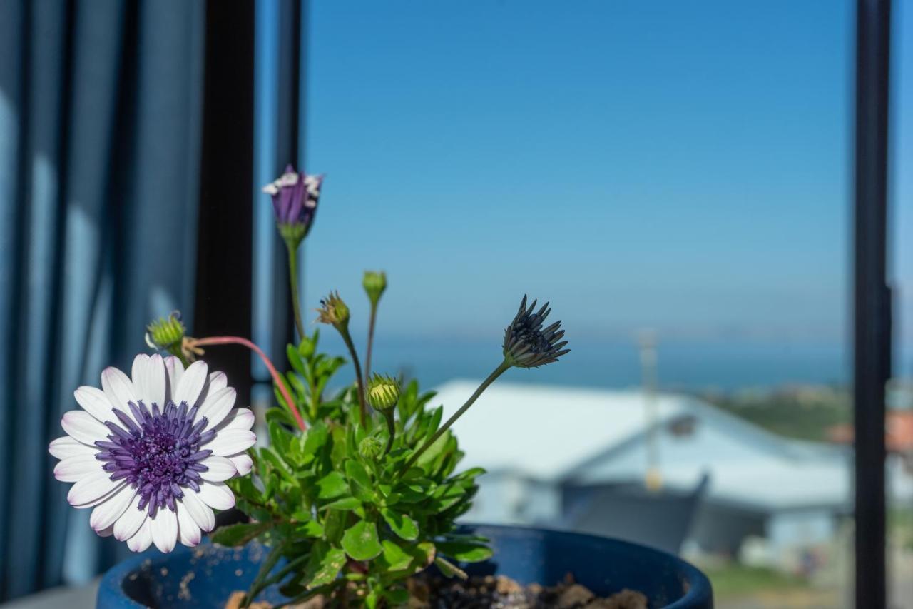 Blue Star Villa Tergniet Eksteriør bilde